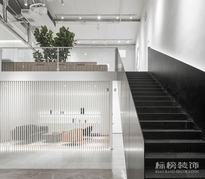 辦公室植物擺放植物有哪些，怎么擺放比較好？